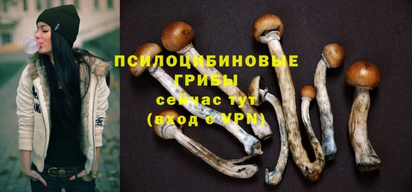 соль курить ск Лагань