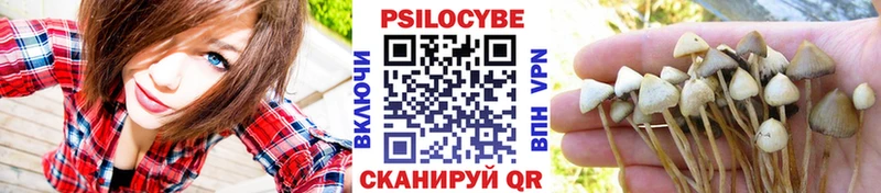Псилоцибиновые грибы Psilocybine cubensis  Купить где  Венёв 